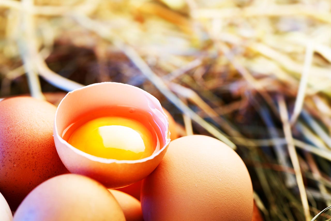 Eier Test, abgelaufene Eier noch frisch