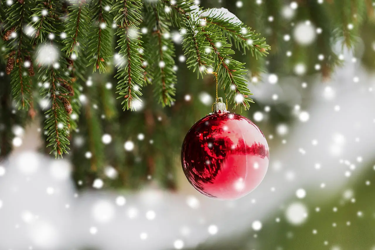 Weihnachtsbaum-Pflege, Tannenbaum frisch halten